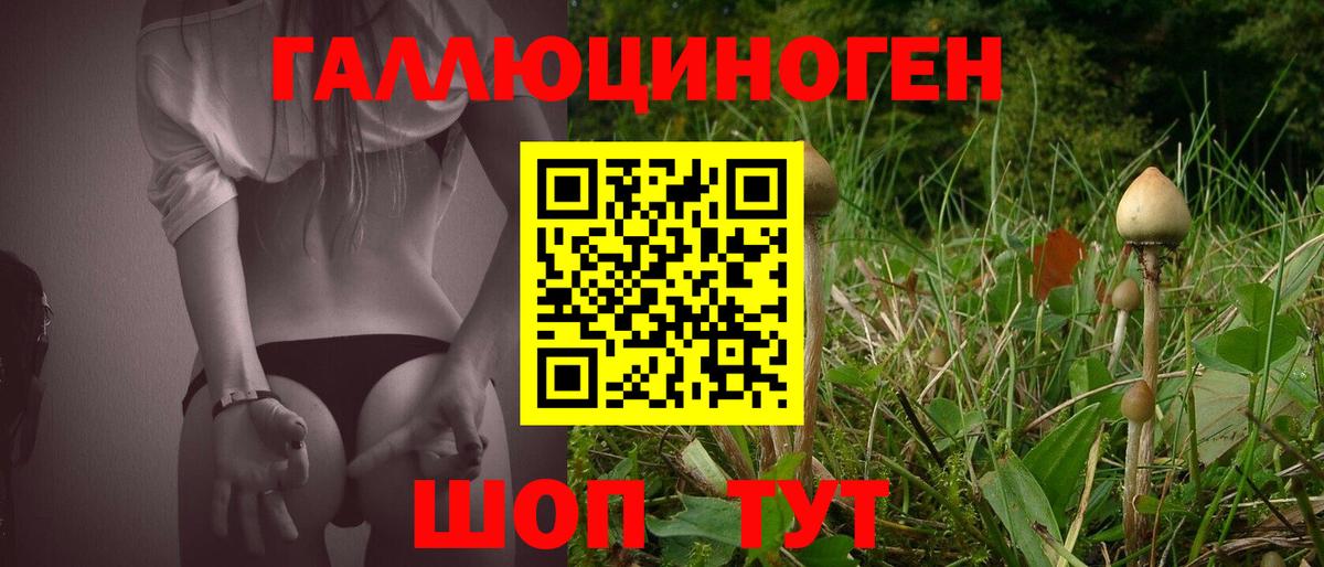 Псилоцибиновые грибы MAGIC MUSHROOMS  Вход с VPN  Бугульма  Псилоцибиновые грибы Magic Shrooms 
